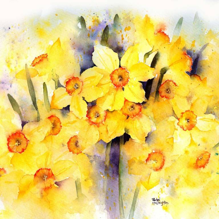 Spring Fever - Rachel McNaughton