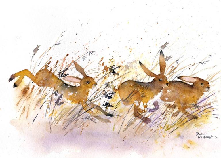 Hurrying Hares - Rachel McNaughton