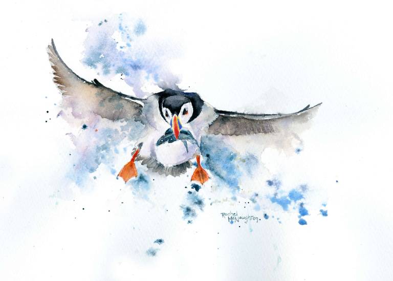 Home for Lunch - Rachel McNaughton