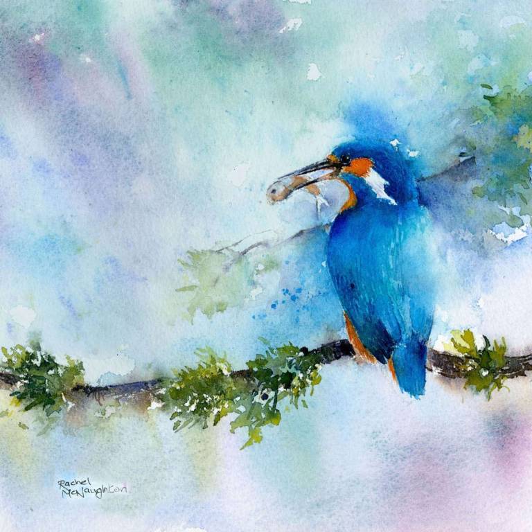 Kingfisher - Rachel McNaughton