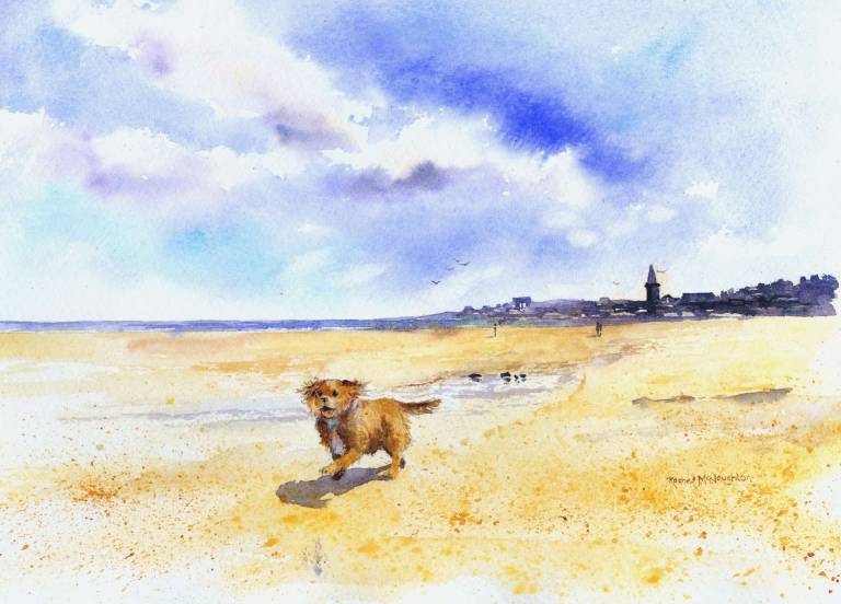 Alfie on the Beach - Rachel McNaughton