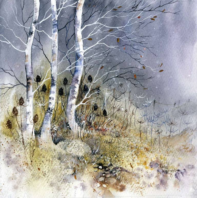 A Taste of Winter - Rachel McNaughton