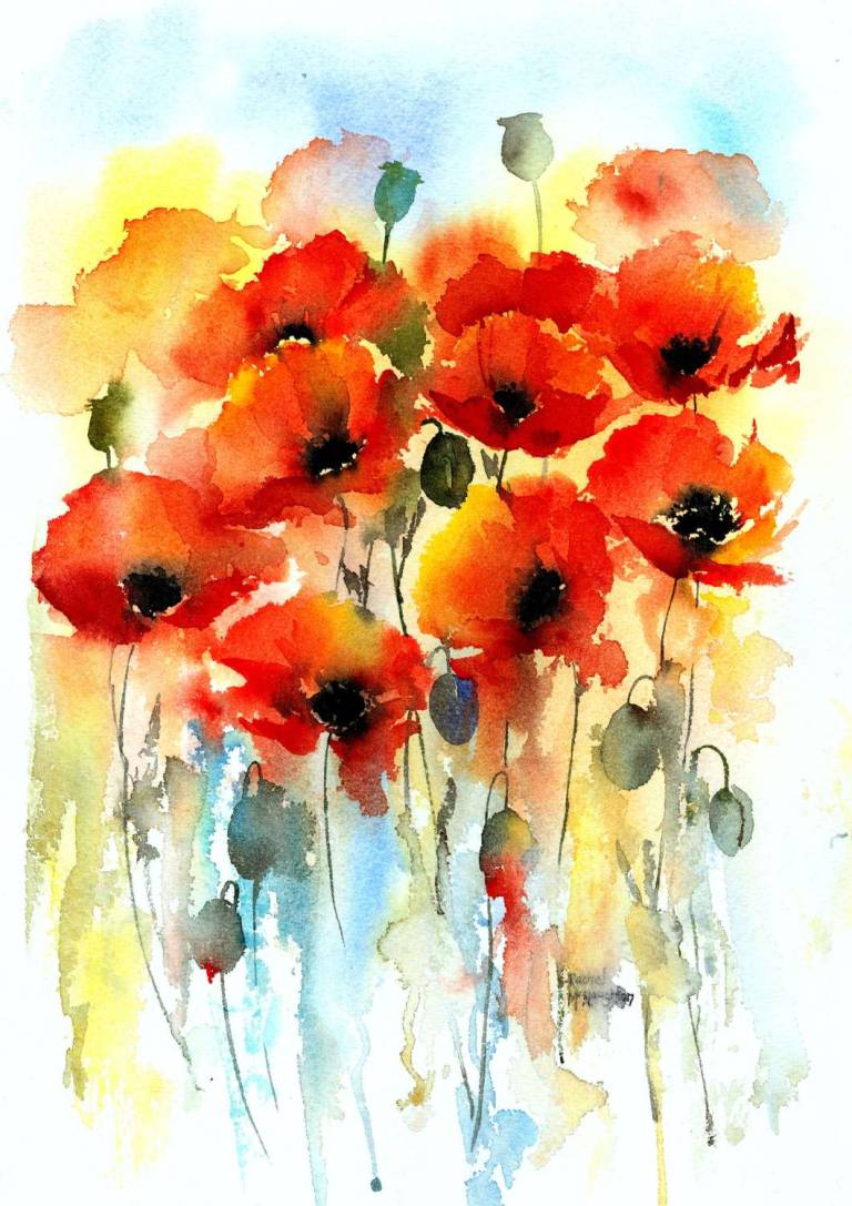 Poppies - Rachel McNaughton