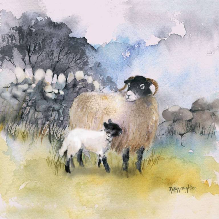 Springtime Lamb - Rachel McNaughton
