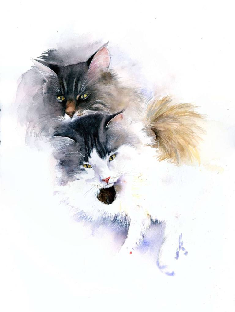 Commission - Rachel McNaughton