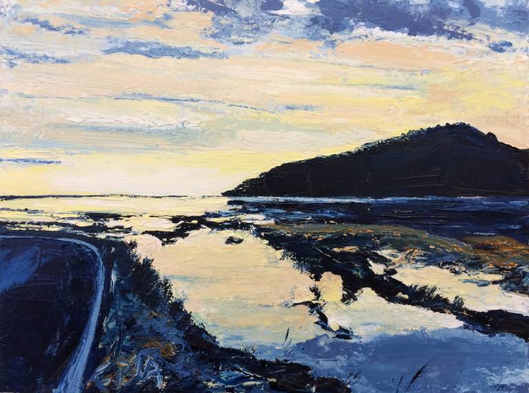 Abel Tasman Dawn - Fiona Armer