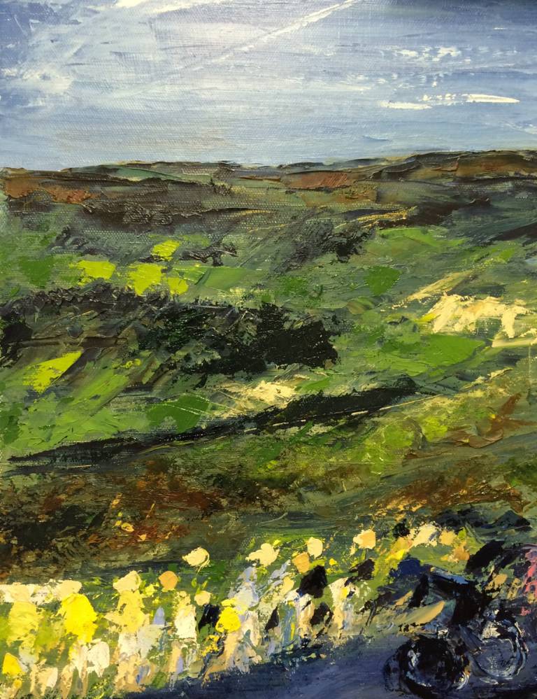 Tour de Yorkshire 1 (print) - Fiona Armer