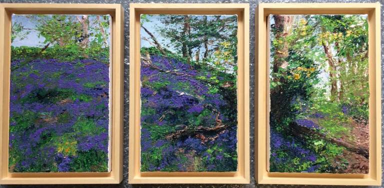 Nutclough Bluebells Triptych - Fiona Armer