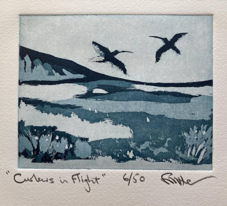 Curlews in Flight (Etching) - Fiona Armer