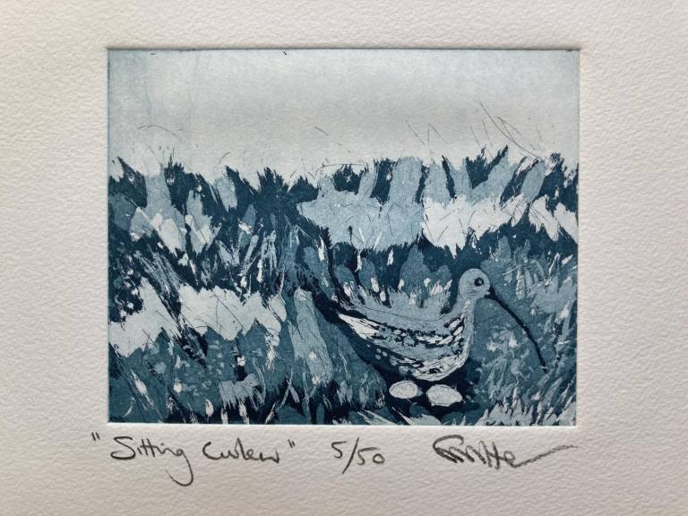 Sitting Curlew (Etching) - Fiona Armer