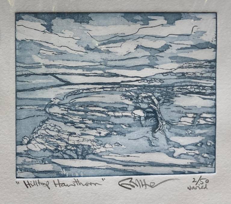 Hilltop Hawthorn (Etching) - Fiona Armer