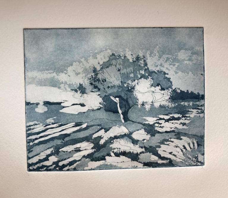 Copper Hawthorn (Etching) - Fiona Armer