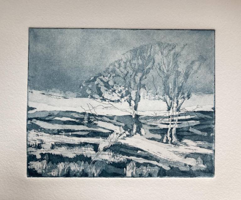 Tree Family (Etching) - Fiona Armer