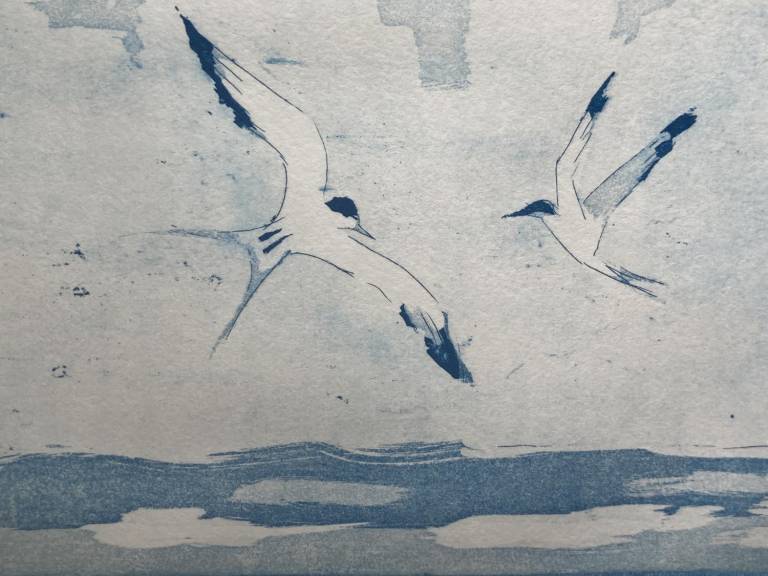 Arctic Terns (Etching) - Fiona Armer