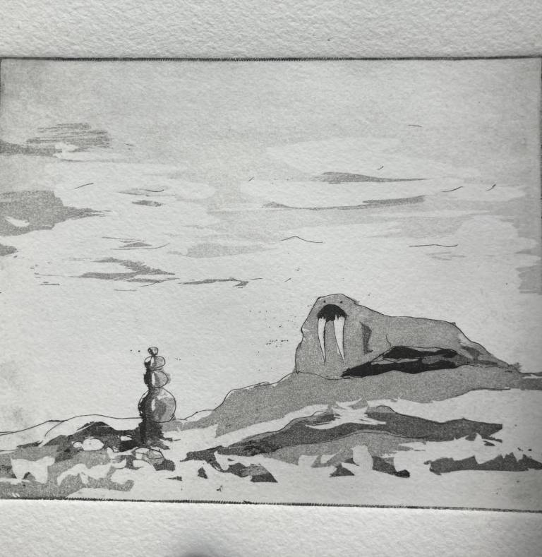 Arctic Walrus (Etching) - Fiona Armer