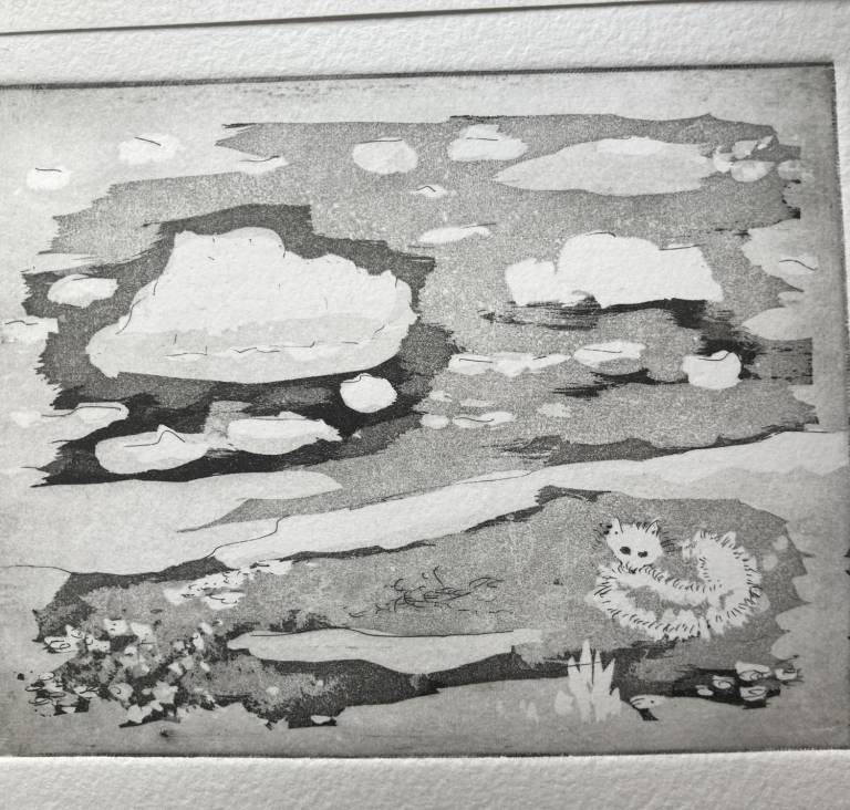 Arctic Fox (Etching) - Fiona Armer
