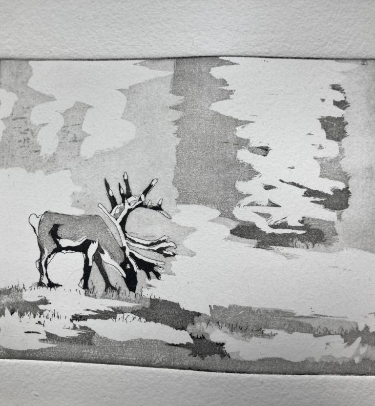 Arctic Reindeer - Fiona Armer