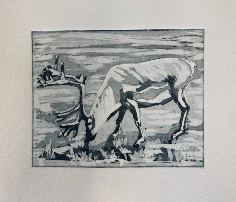 Rudolph - Fiona Armer