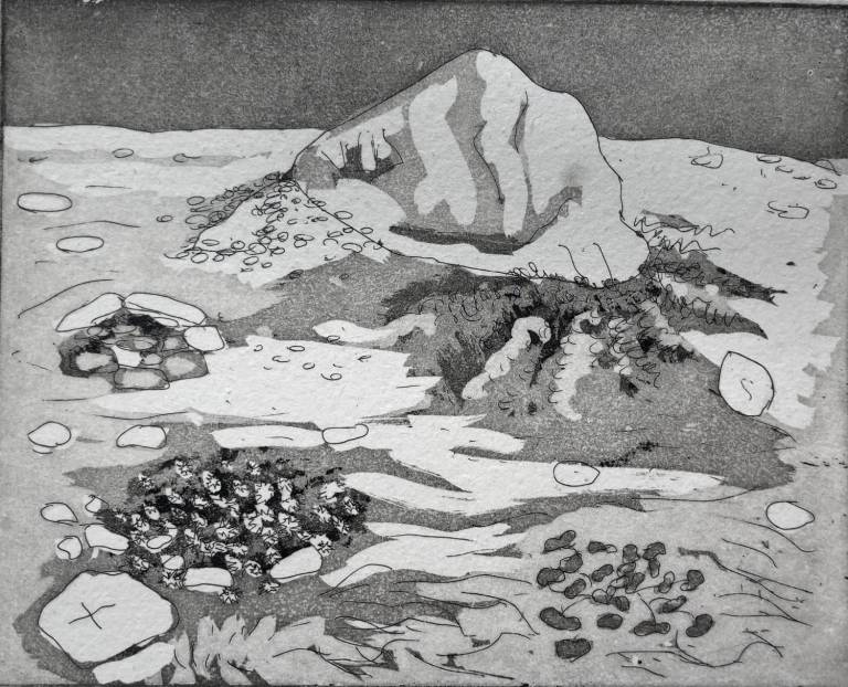 Arctic Tundra - Fiona Armer