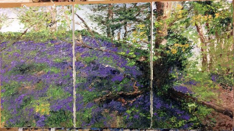 Nutclough Bluebells Triptych - Fiona Armer