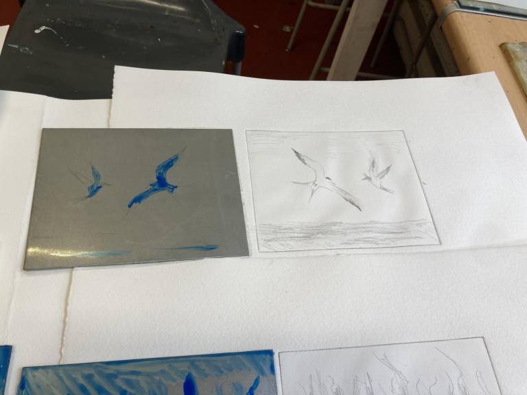 Arctic Terns (Etching) - Fiona Armer