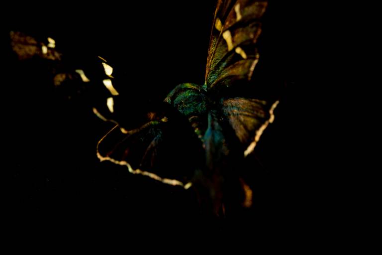 Into the Dark - Louise Knaresborough