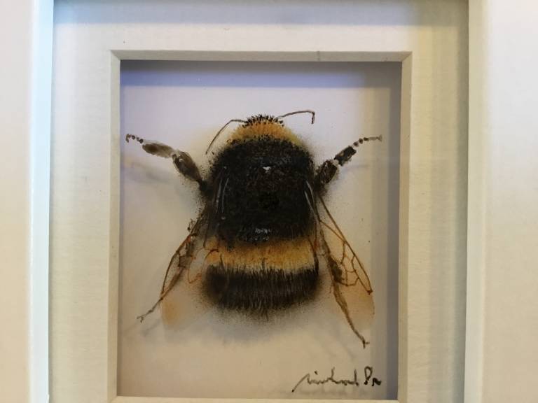  Bumble Bee  21-7-02 - Michael Dix