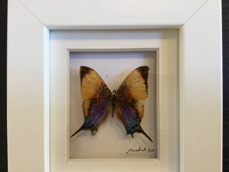 Gold Butterfly 21-7-04 - Michael Dix