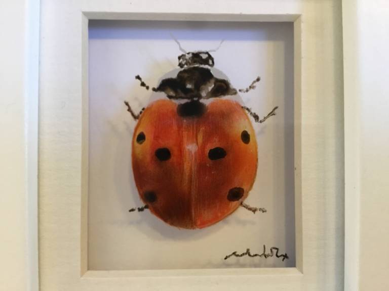 Michael Dix - Ladybird 21-7-09