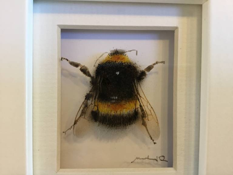 Michael Dix - Second Bumblebee 21-7-12