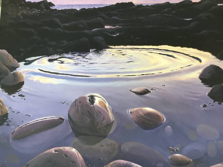 Tide Pool Ripples #1 - David Boyle