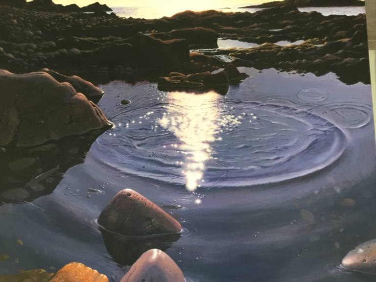 David Boyle - Sun pool VI