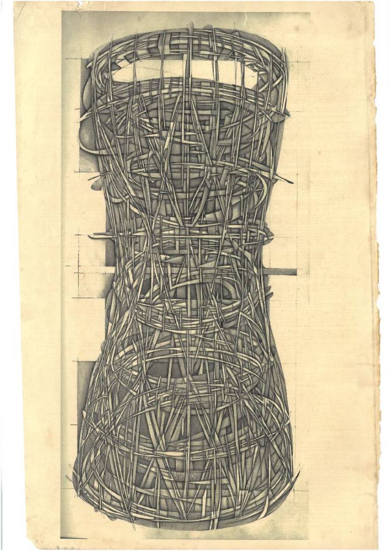 Basket case - Mark Carmichael 