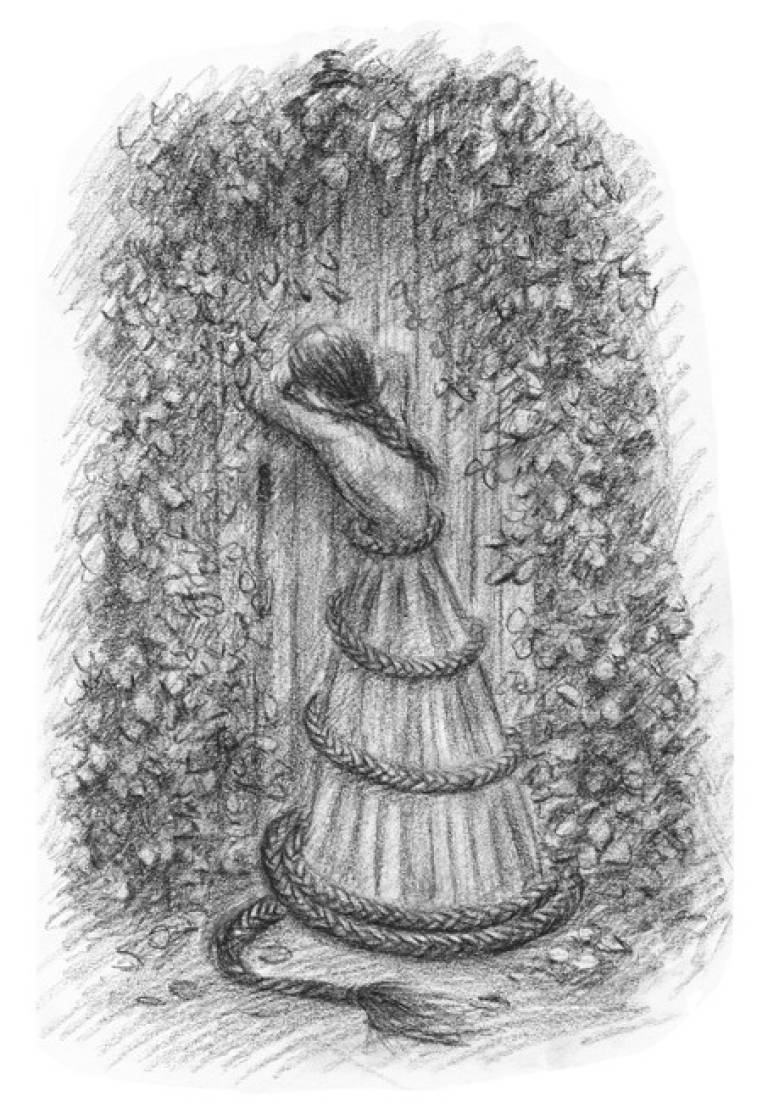 Fiona Michie  - Plait