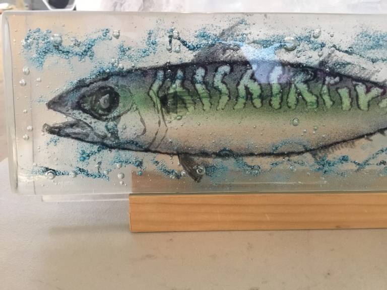 Ashley Brammer - Mackerel 