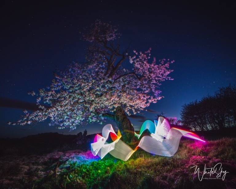Dancing Spirits at the Cherry Tree - Simon White