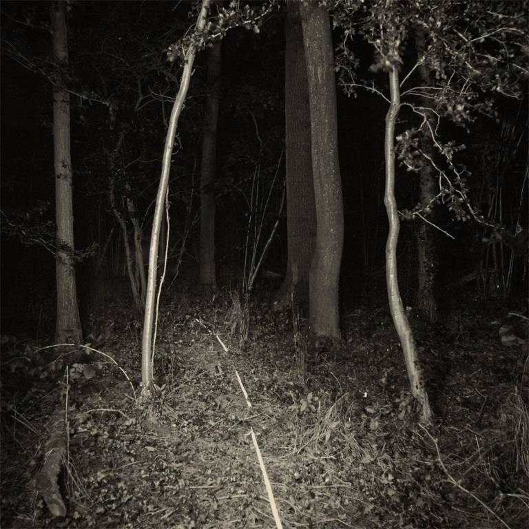 Bill Jackson - Into the Wood 1