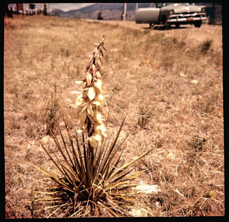 On the Road 7 - Unknown Photographer