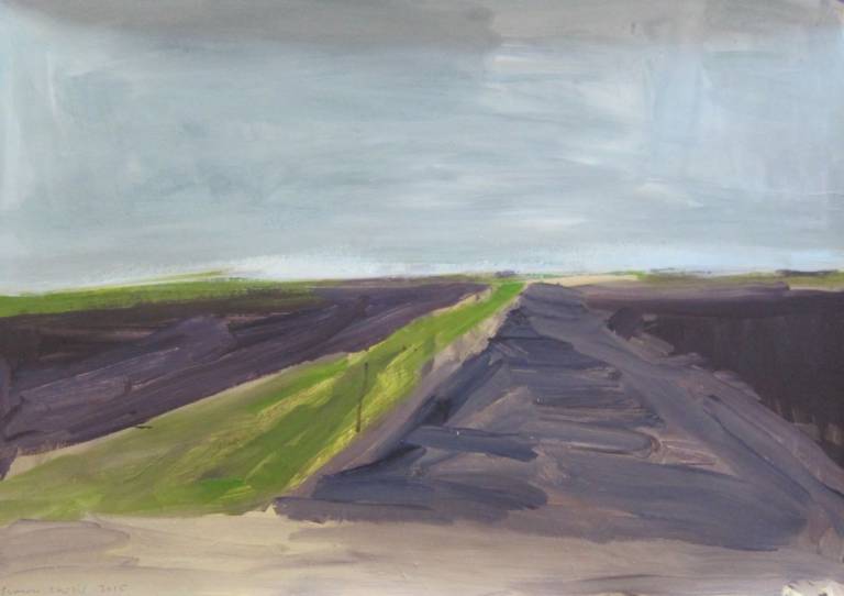 Simon Carter - Looking North , The Fens