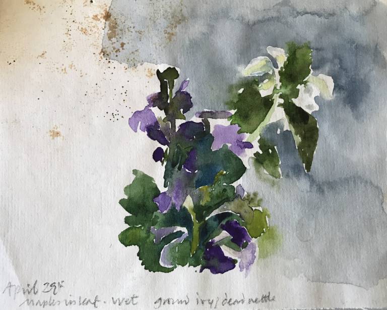 Julia  Ball - Watercolour 1