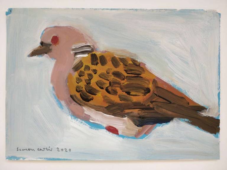 Simon Carter - Turtle Dove