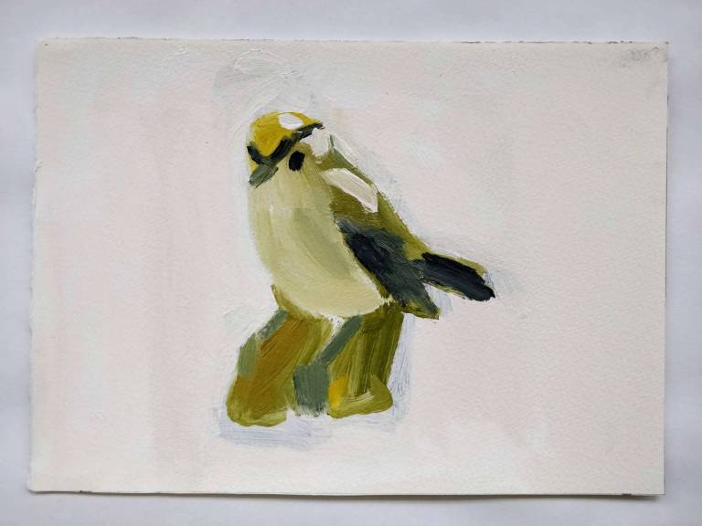 Simon Carter - Goldcrest