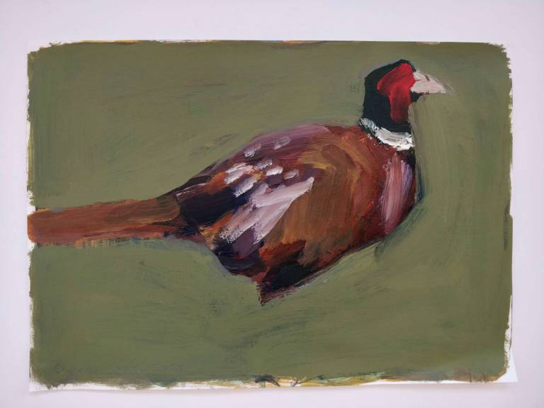 Simon Carter - Pheasant 