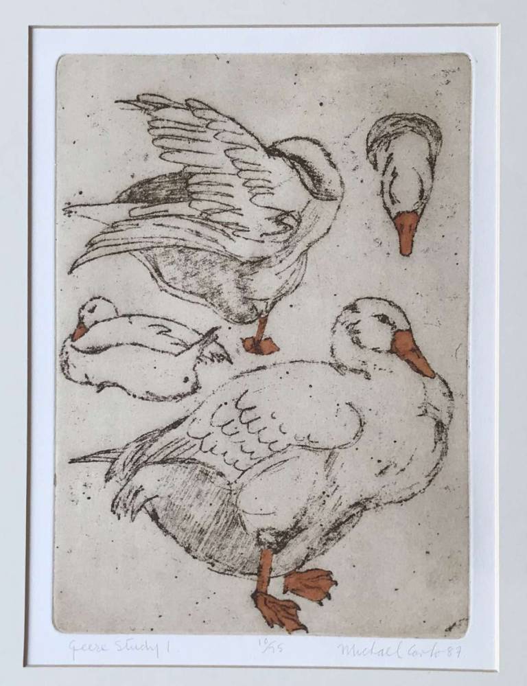 Michael Carlo - Geese Study 1