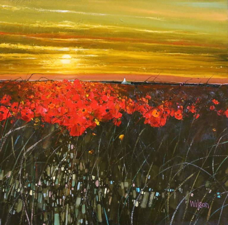 Sunset Poppy Sea £1850 - Gordon Wilson