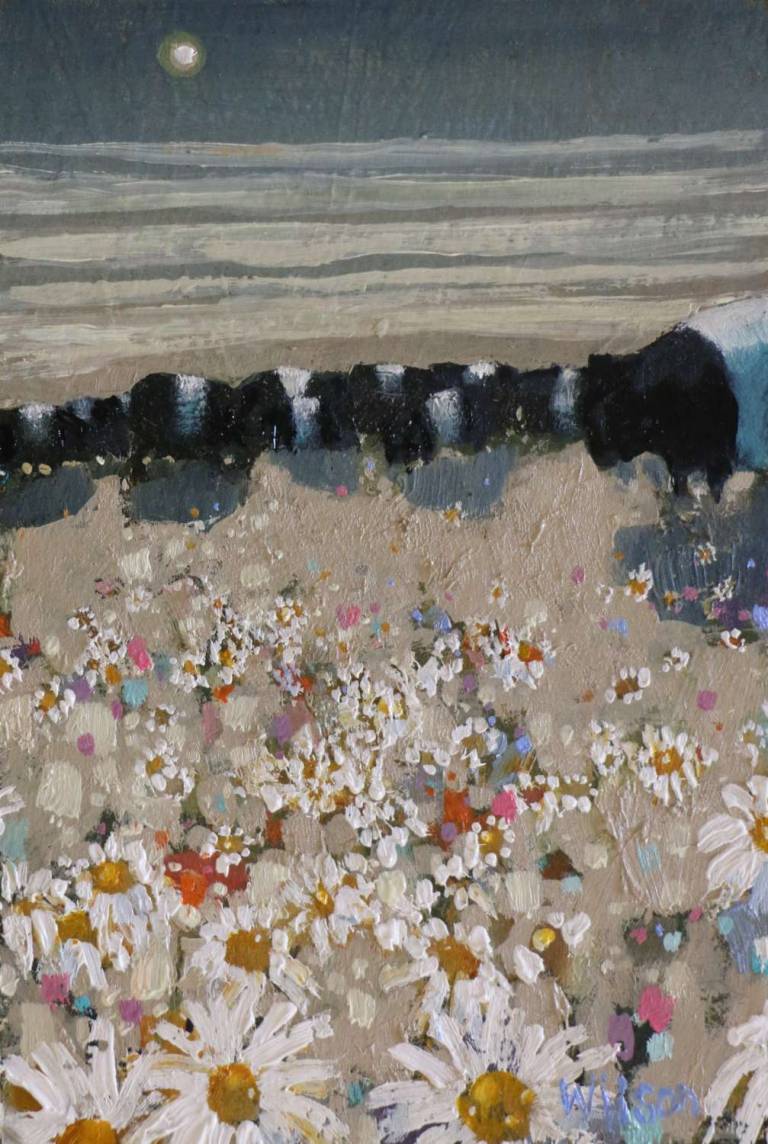 Belties And Marguerites (Sold) - Gordon Wilson