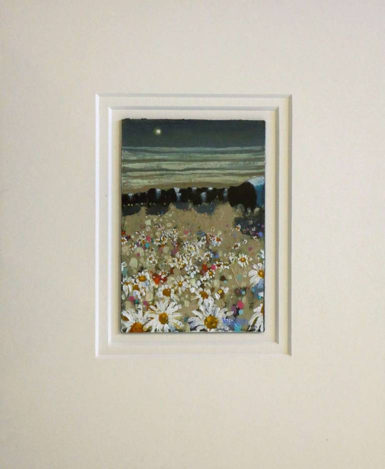 Belties And Marguerites (Sold) - Gordon Wilson