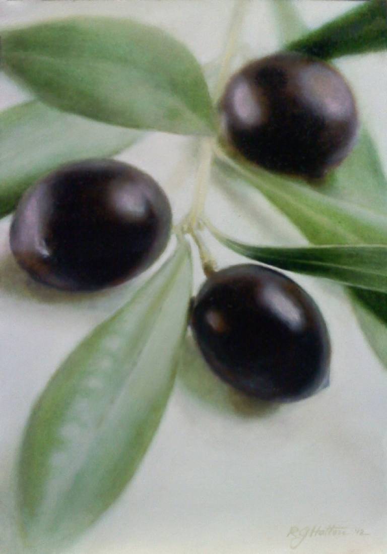 3 Olives - Roger G. Hatton