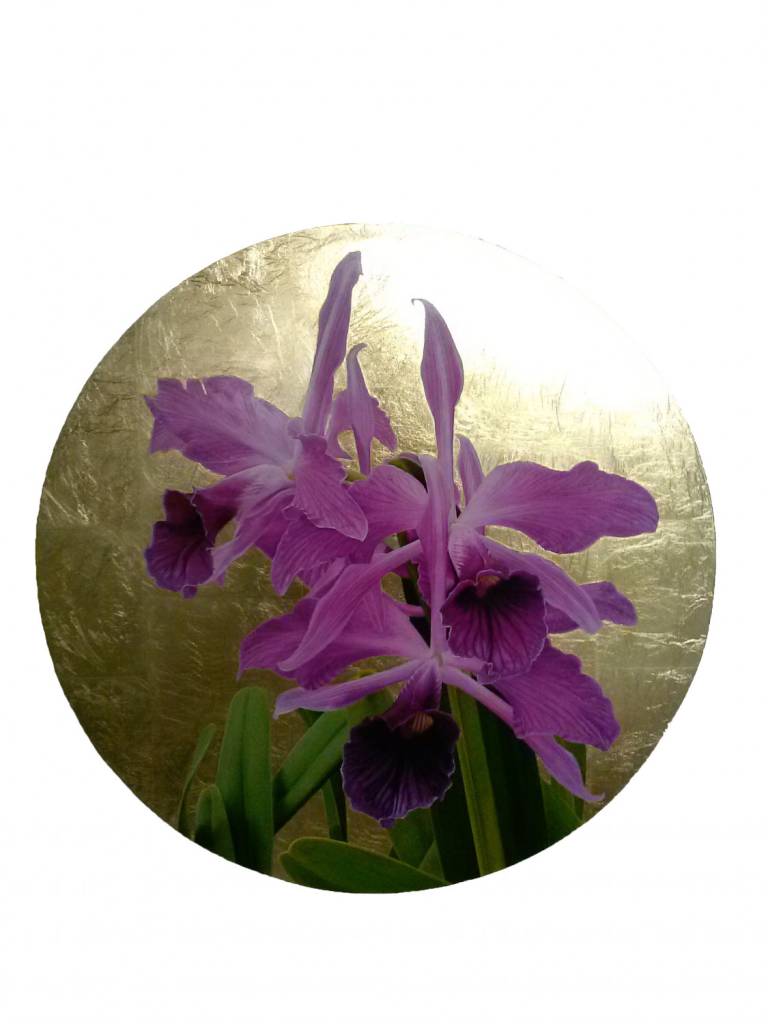 ORCHIDS in GOLD II - Roger G. Hatton