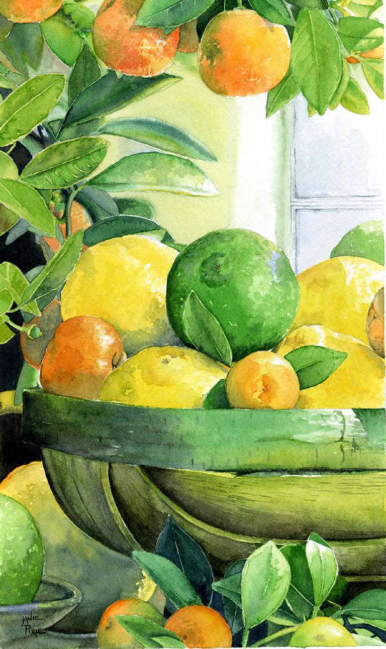 Oranges, Lemons & Limes - Janie Pirie